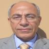 الترجمة المُرابِطة